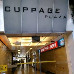 Cuppage Plaza (D9), Shop House #522530231